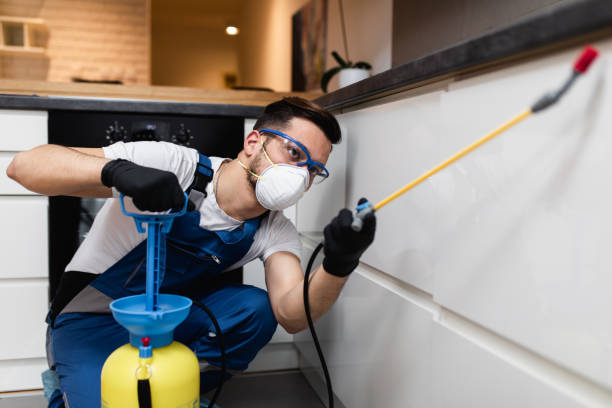 Trusted Broadview Park, FL Pest Control Experts